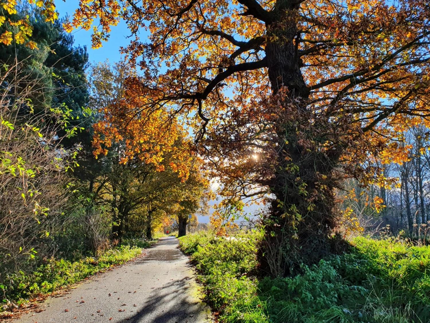 My wheeling route…