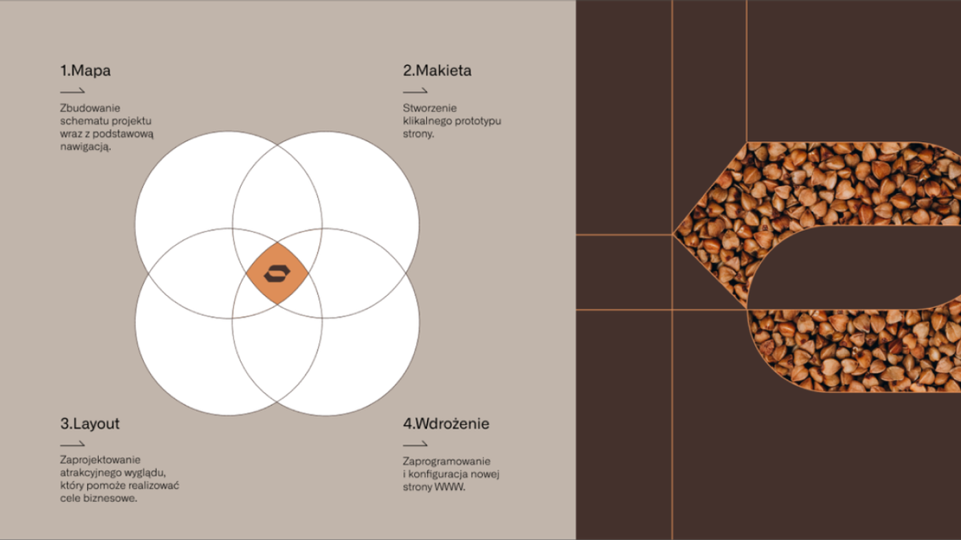 Seedea — brandbook (logo, typografia, kolory, ikony)