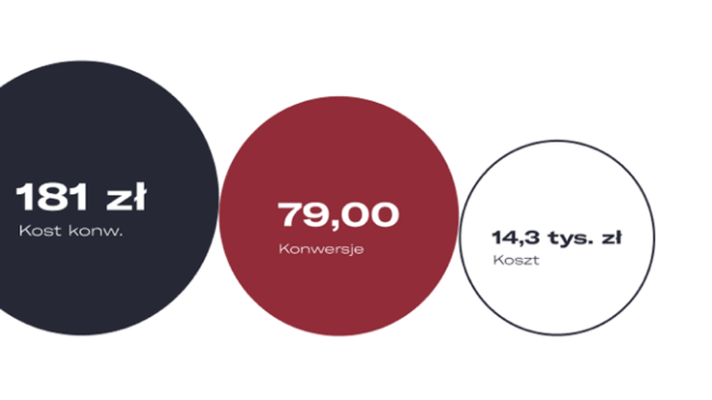 Plastipol — wyniki Google Ads (6,92 tys. kliknięć, 79 konwersji)