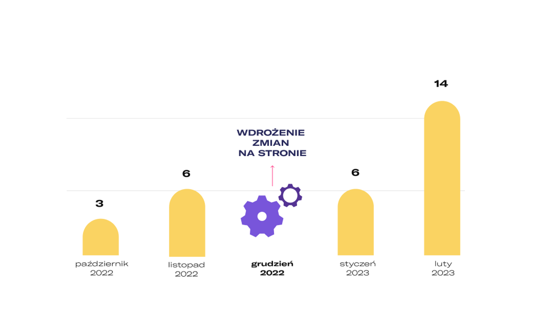 LoopStore — podsumowanie 5 miesięcy