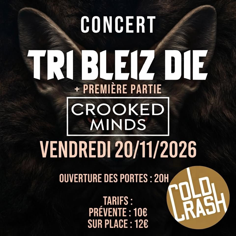 Affiche de Tri Bleiz Die (Punk Rock) / Crooked Minds (Grunge/Stoner) en concert à Rezé (44)