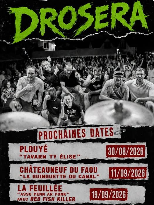 Affiche de Drosera (Rock Garage) en concert à Plouyé (29)