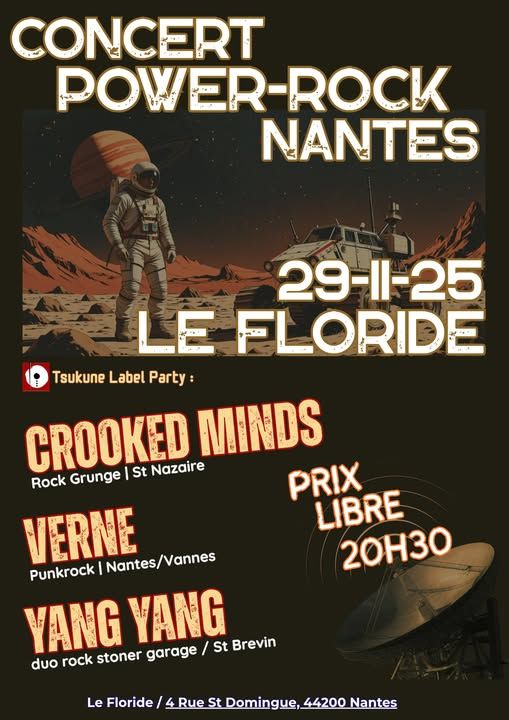 Affiche de Soirée Punk Rock / Grunge / Stoner à Nantes (44)