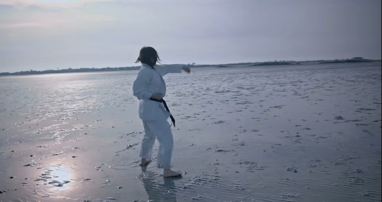 Image pour l'article Vidéo du 1er single du futur album de Sweet Monsters