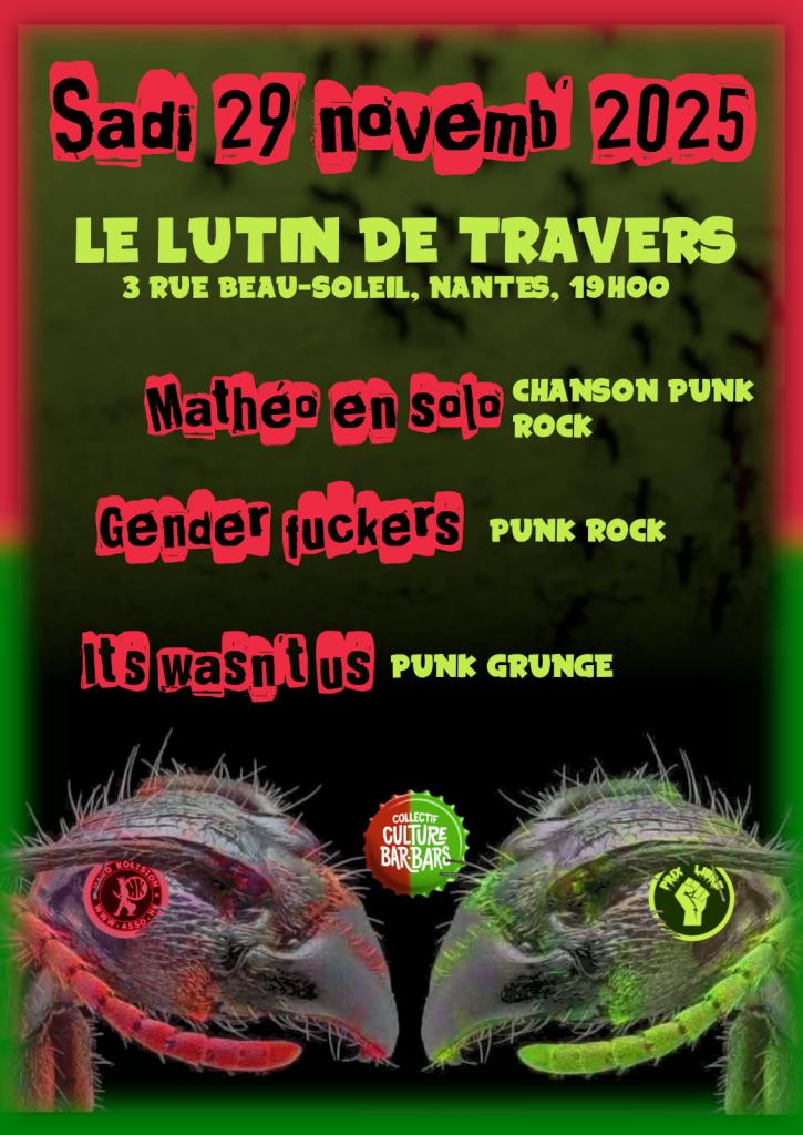 Affiche de Concert punk / grunge à Nantes (44)