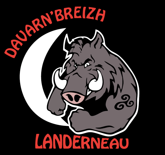 Affiche de SID au Davarn'Breizh