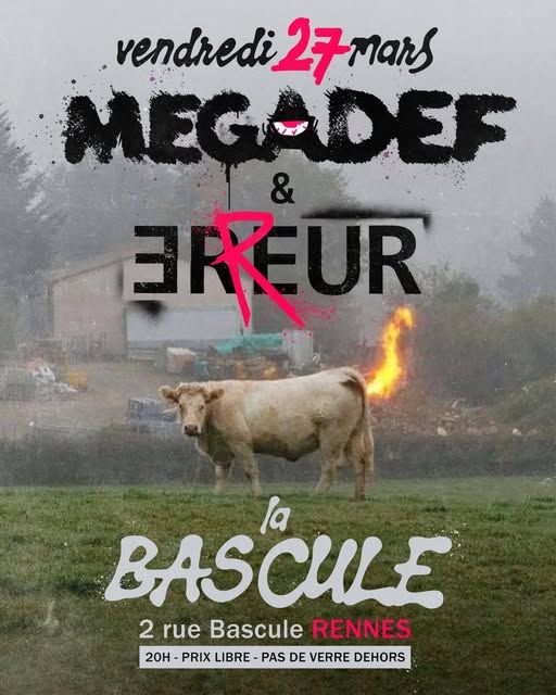 Affiche de Megadef (Punk Rock) et Erreur (Punk Rock)  en concert à Rennes (35)