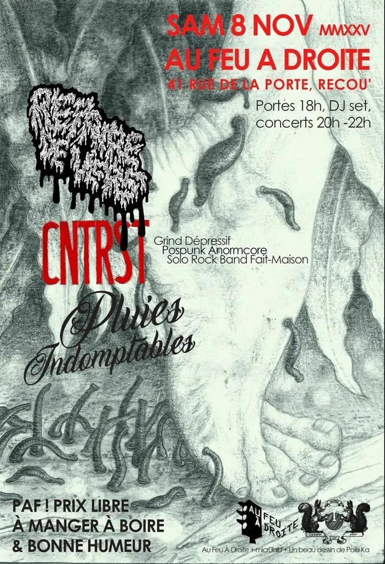 Affiche de Soirée Grind / Post Punk / Punk Rock à Brest (29)