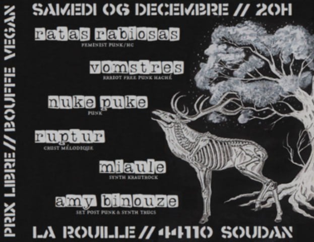 Affiche de Soirée Punk Rock à Soudan (44)