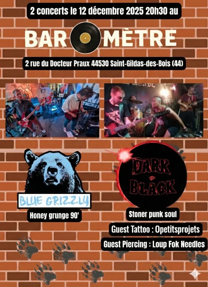 Affiche de Blue Grizzly et Dark As Black à St Gildas-des-Bois (44)