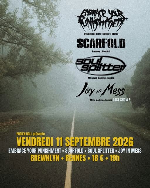 Affiche de Soirée Metal (Brutal Death/HxC/Metalcore/Modern Metal) avec 4 groupes à Rennes (35)