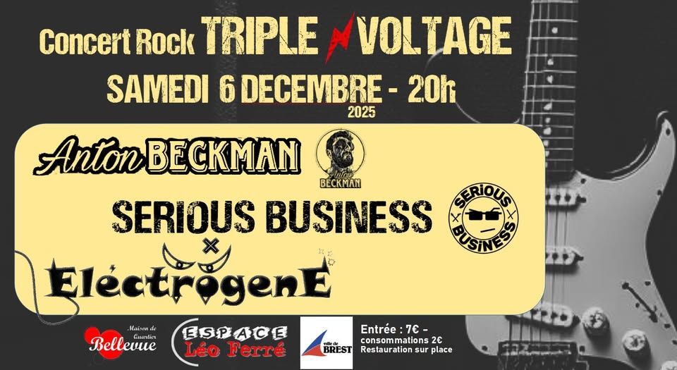 Affiche de Soirée Hard / Rock avec 3 groupes à Brest (29)