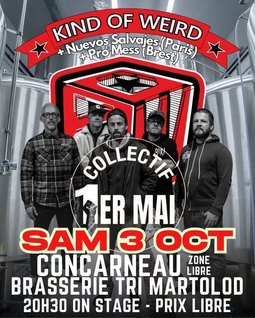 Affiche de Kind Of Weird / Pro-Mess / Nuevos Salvajes live à Concarneau (29)