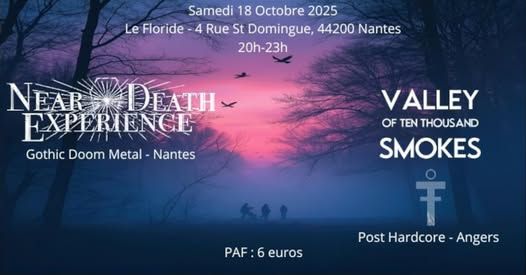 Affiche de Near Death Experience et Valley Of Ten Thousand Smoke à Nantes (44)