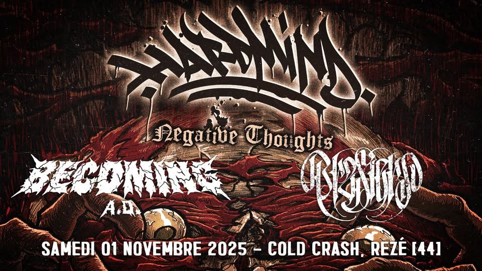 Affiche de Soirée Hardcore Metal au Cold Crash (44)