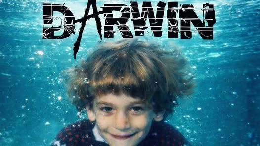 Image pour l'article Darwin : nouveau single "C'est ma révolte"