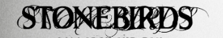Logo de Stonebirds