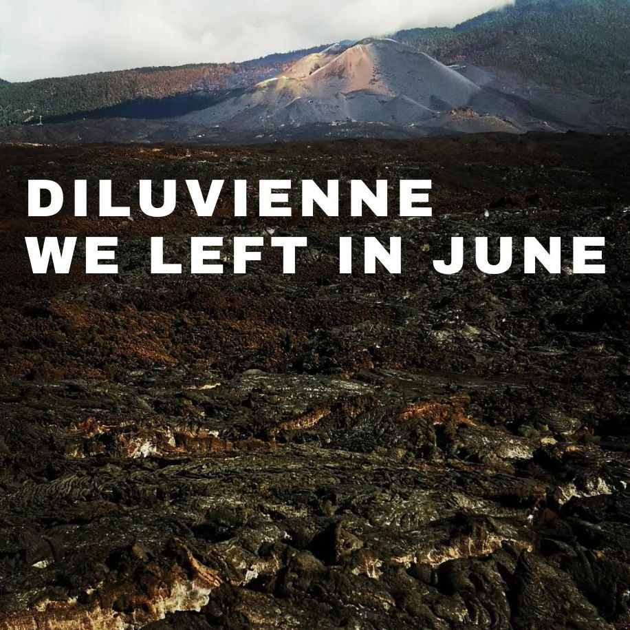 Affiche de Concert Diluvienne / We Left In June à Clisson (44)