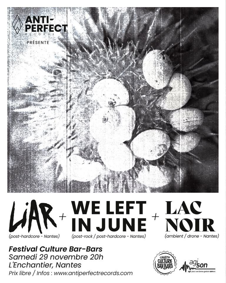 Affiche de Soirée Post-Rock, Post-HxC, Ambiant Drone à Nantes (44)