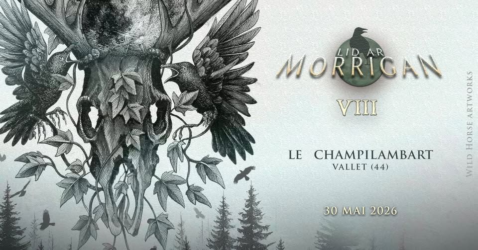 Affiche de Lid Ar Morrigan VIII en 2026 (44)