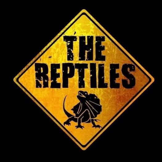 Affiche de The Reptiles (Rock Garage-Punk Rock) en concert à Nantes (44)