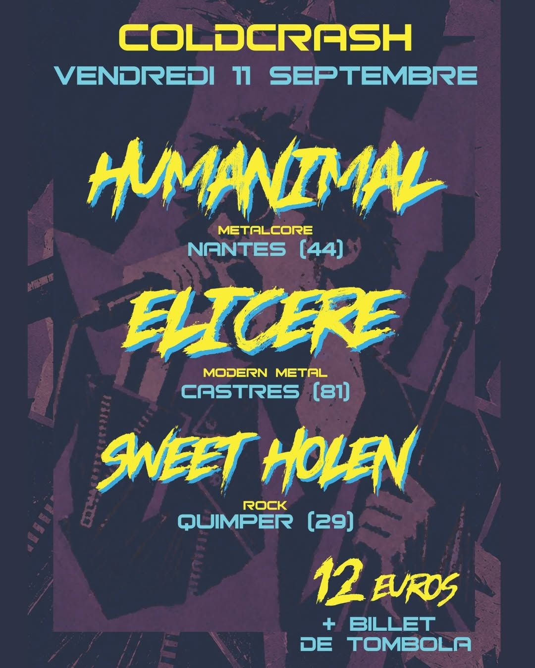 Affiche de Hümanimal / Sweet Holen / Elicere en concert à Rezé (44)