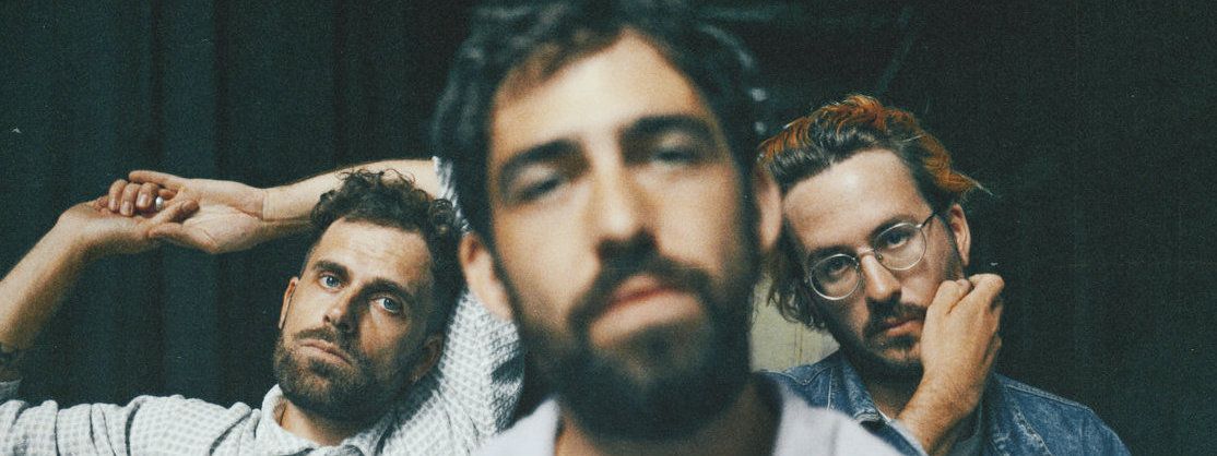 Photo de Mad Foxes
