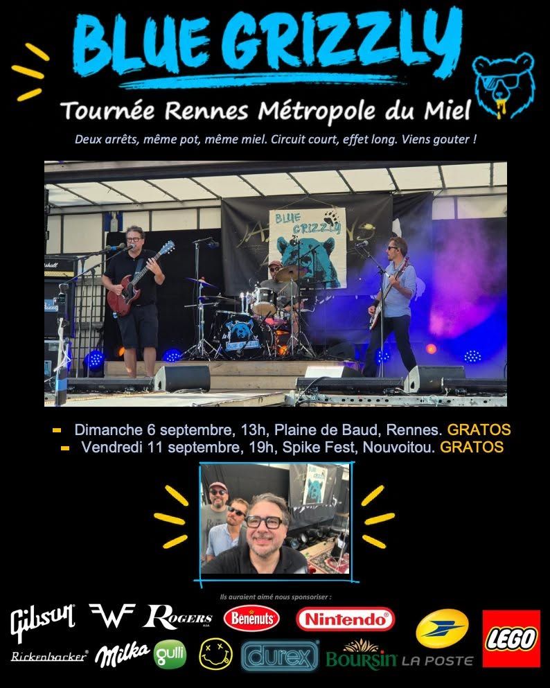 Affiche de Blue Grizzly (Punk Mélodique / Rock) en concert à Rennes (35)