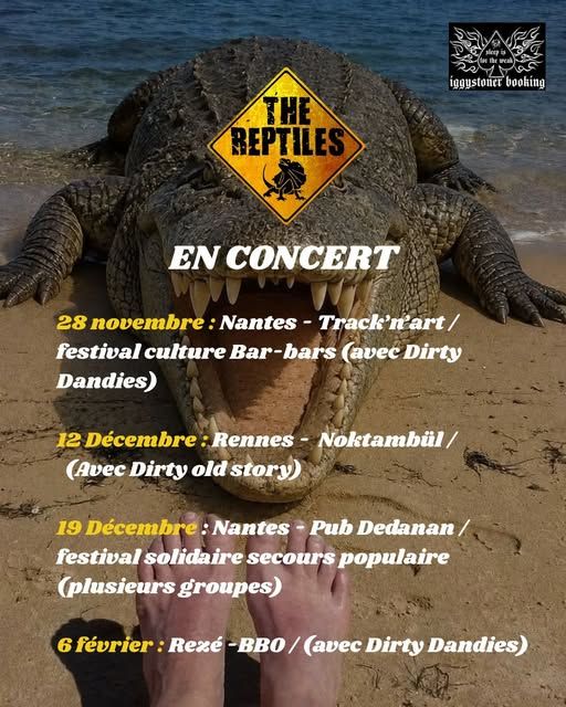 Affiche de Festival Solidaire Secours Populaire à Nantes (44)
