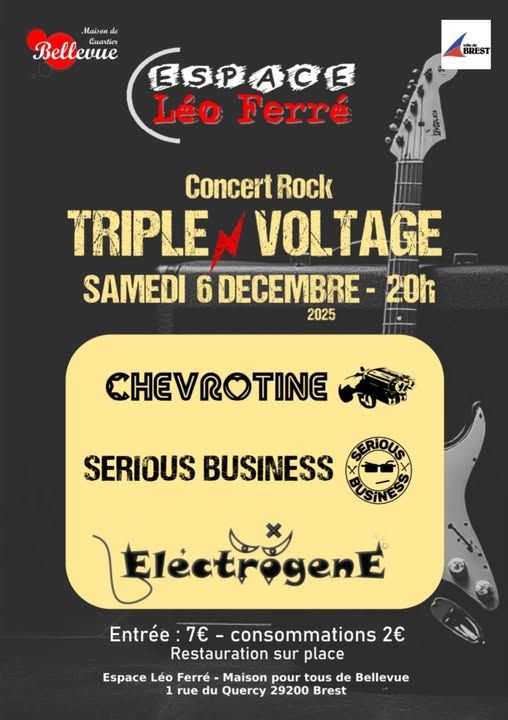 Affiche de Soirée Hard / Rock avec 3 groupes à Brest (29)