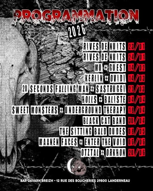 Affiche de Maanen Faces et Enter The Void à Landerneau (29)