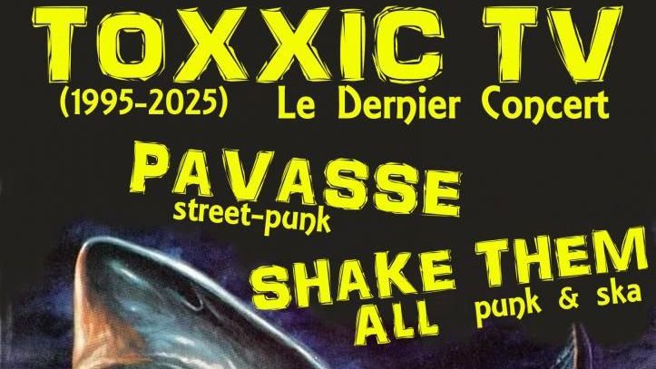 Image pour l'article Dernier concert de Toxxic TV avant sépartion