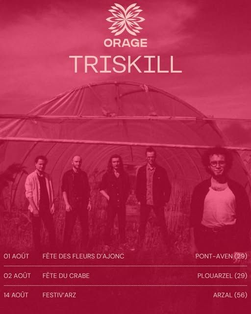 Affiche de Triskill (Metal/Musique Traditionnel Bretonne) en concert à Arzal (56)