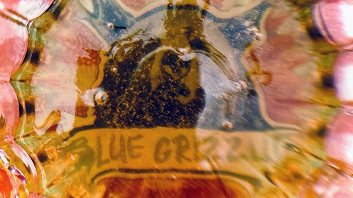 Image pour l'article Blue Grizzly (Punk Rock / Rock) : nouvel LP