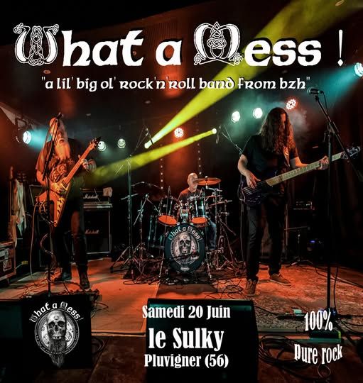 Affiche de What A Mess! (cover hard/rock'n roll) en concert à Pluvigner (56)
