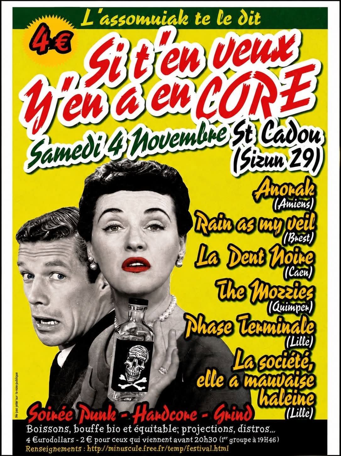 Affiche de Soirée Punk / Hardcore / Grind (avec 6 groupes) à Saint Cadou (29)