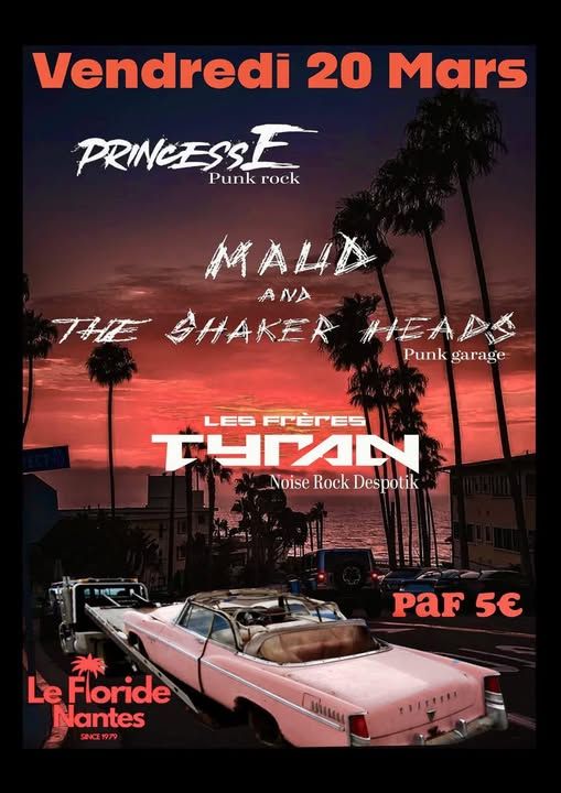 Affiche de Soirée Punk Rock / Punk Garage / Noise à Nantes (44)