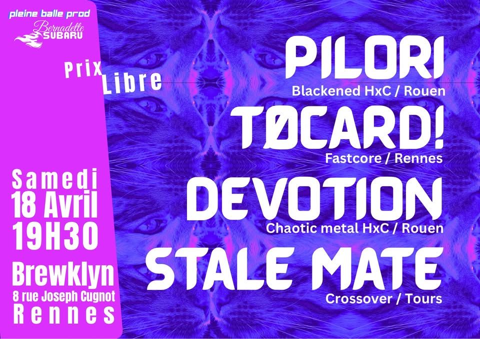 Affiche de Soirée Hardcore avec 4 groupes à Rennes (35)