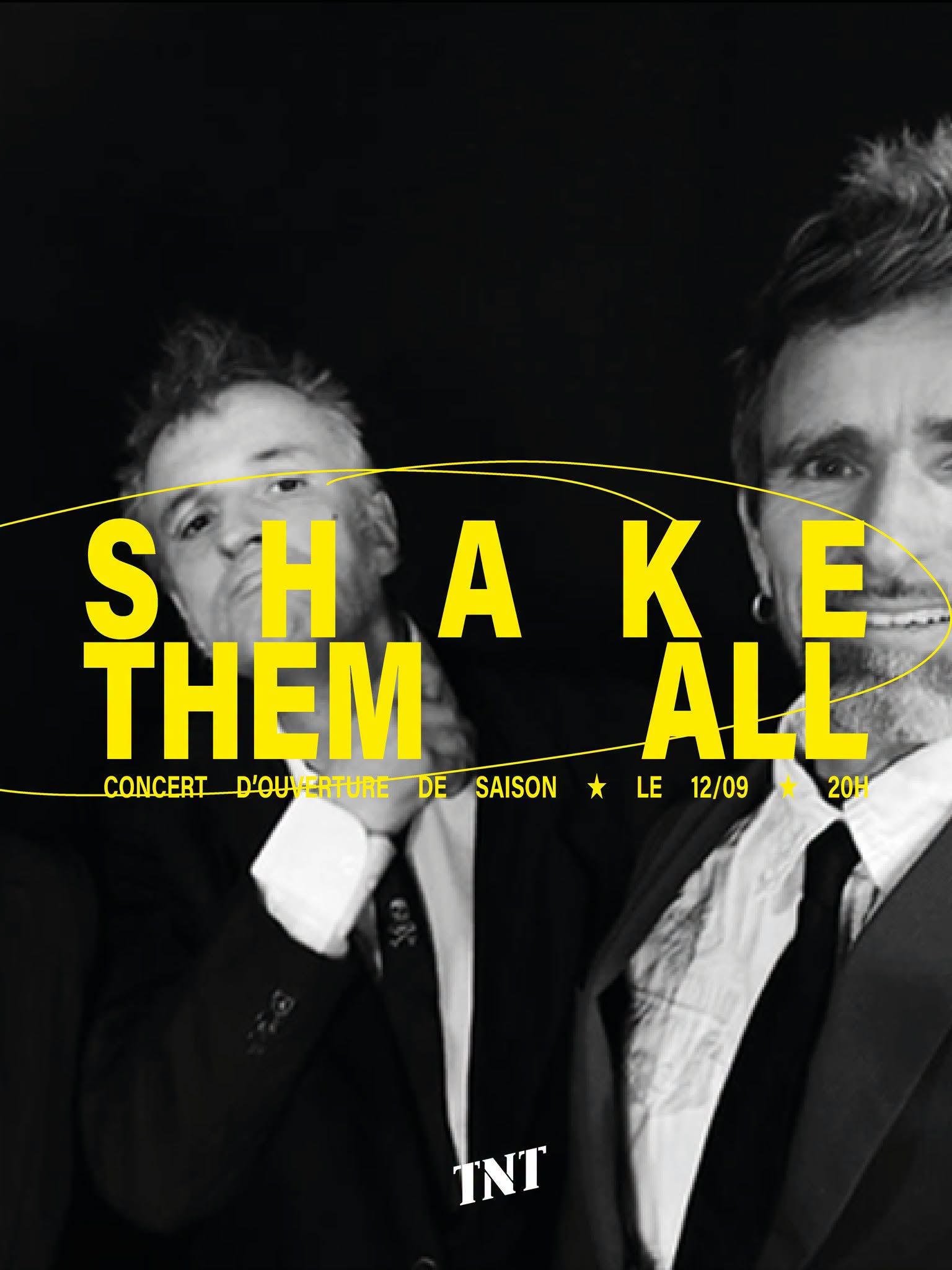 Affiche de Shake Them All (Punk Rock / Ska) en concert à Nantes (44)