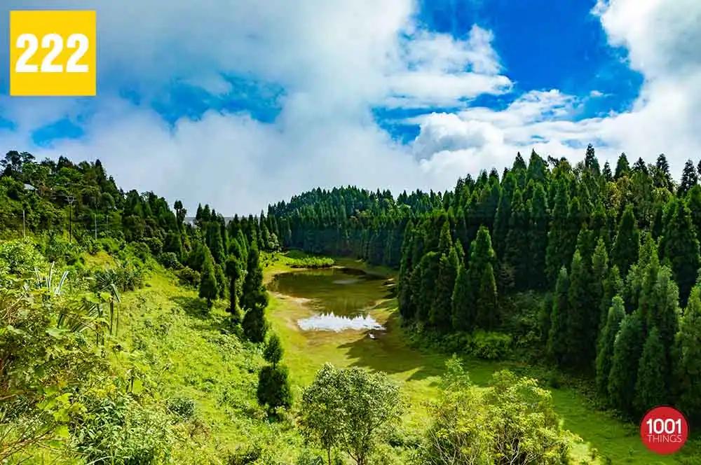 Namthing Pokhari - Abode Of Endangered Himalayan Salamanders