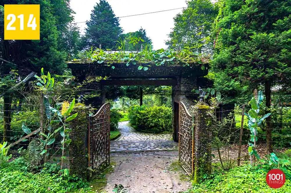 Explore the Enchanting Tendong State Biodiversity Park in Sikkim, India