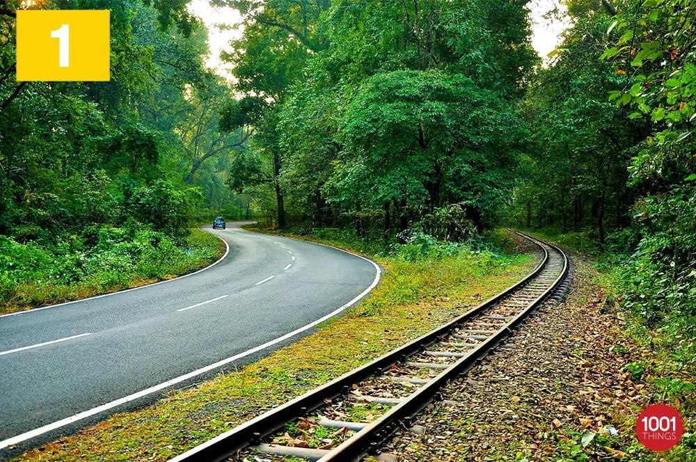 Sukna Forest Siliguri - A Heavenly Paradise for Nature Lovers