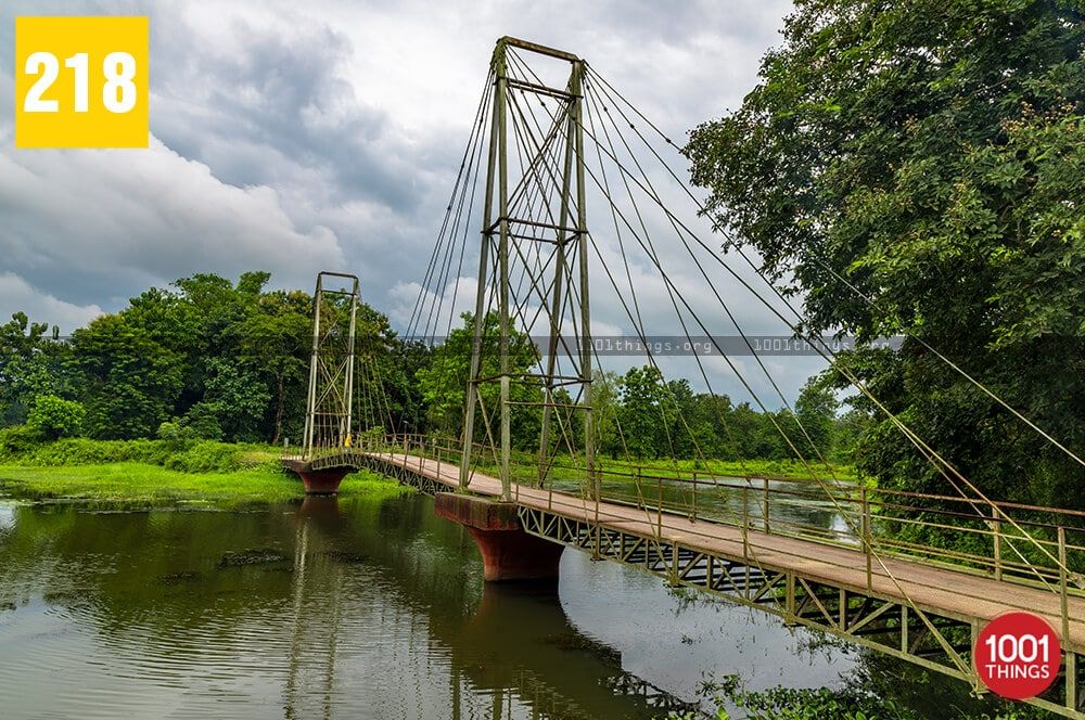 Rasikbill, Cooch Behar - Abode to Migratory Birds