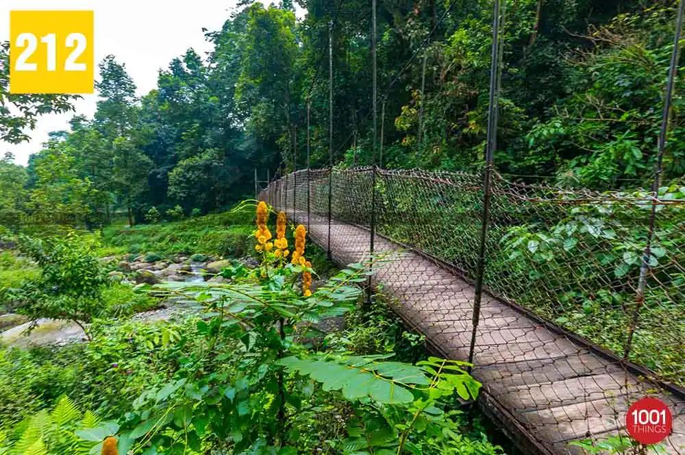 Suntaley Khola Picnic Spot And Resort