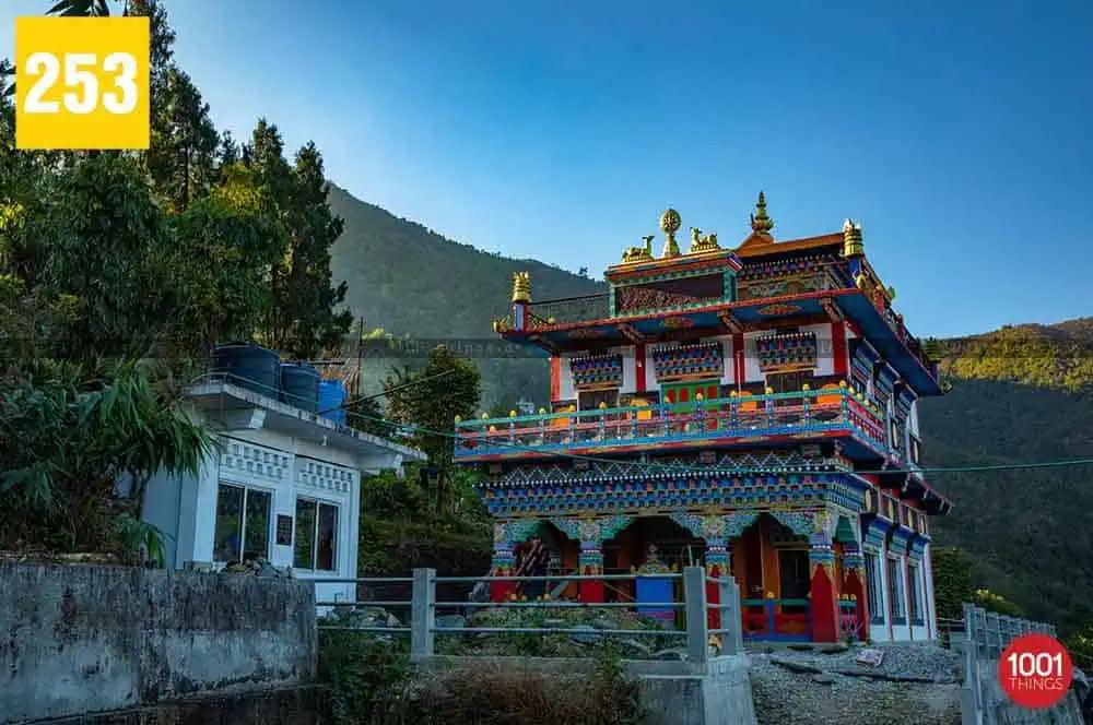 Latpanchar, Darjeeling - A Birdwatcher's Paradise