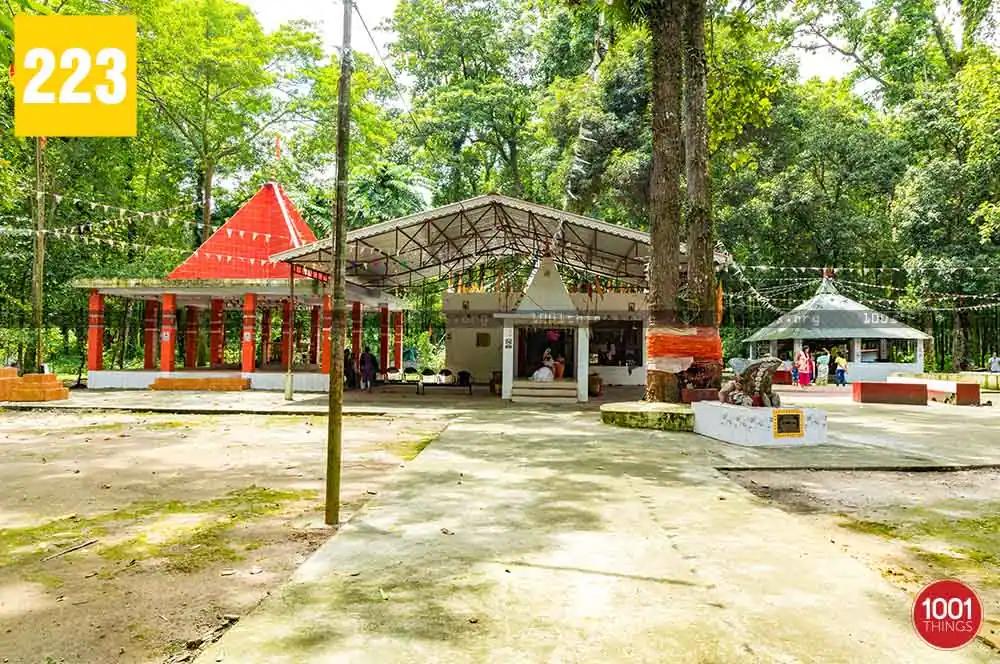 Junglee Baba Mandir - Bangdubi, Bagdogra, Dalkajhar Forest, West Bengal