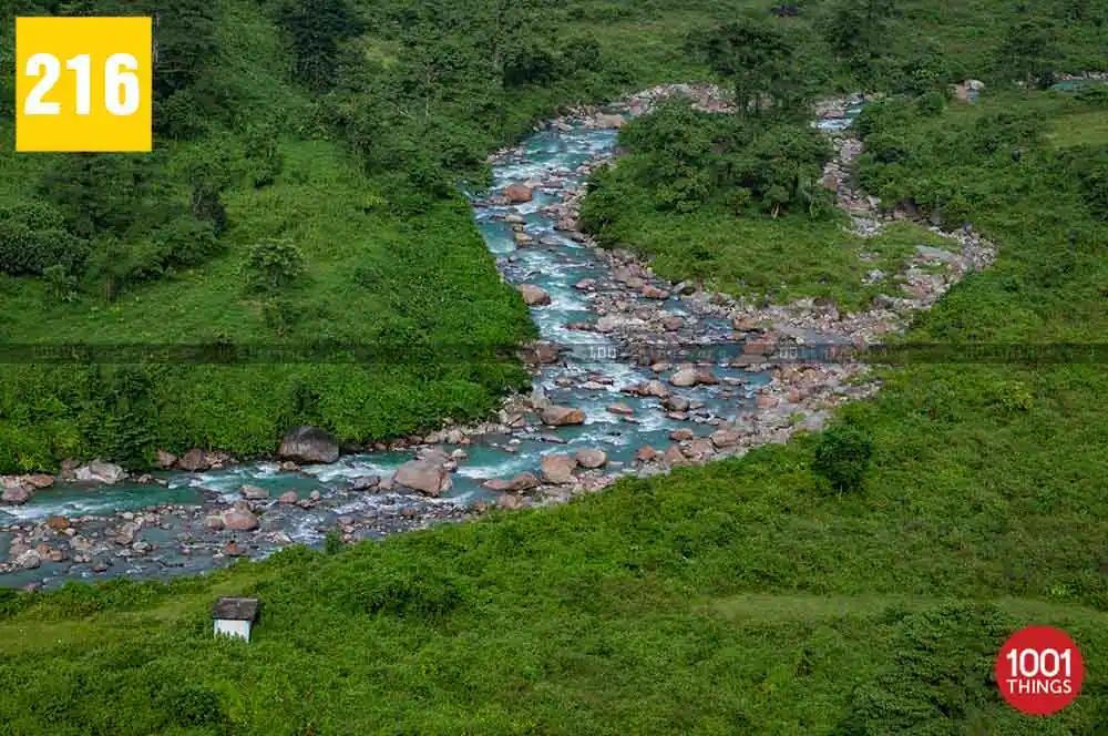 Lali Guras Picnic Spot, Samsing - Dooars