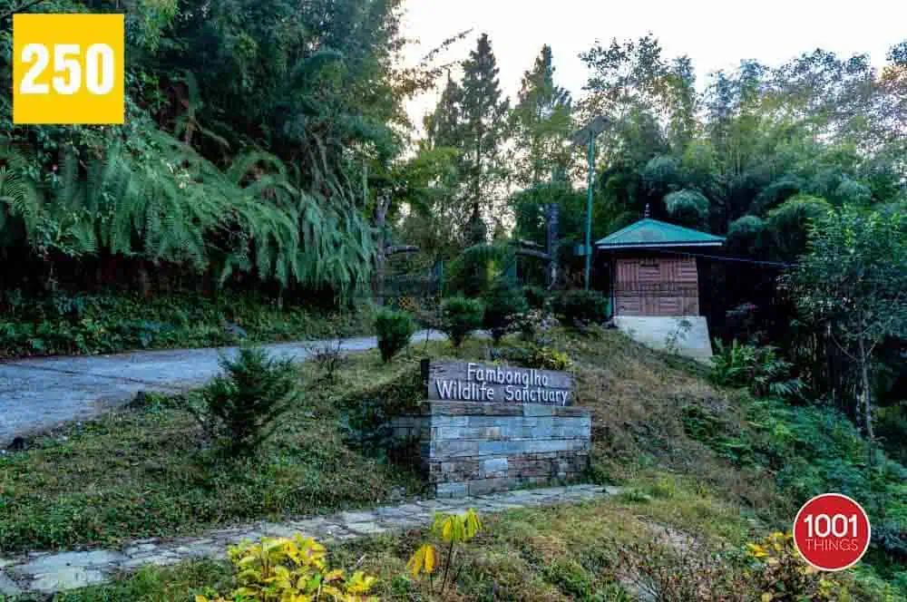 Fambong Lho Wildlife Sanctuary - Where Myths and Legends Meet Nature