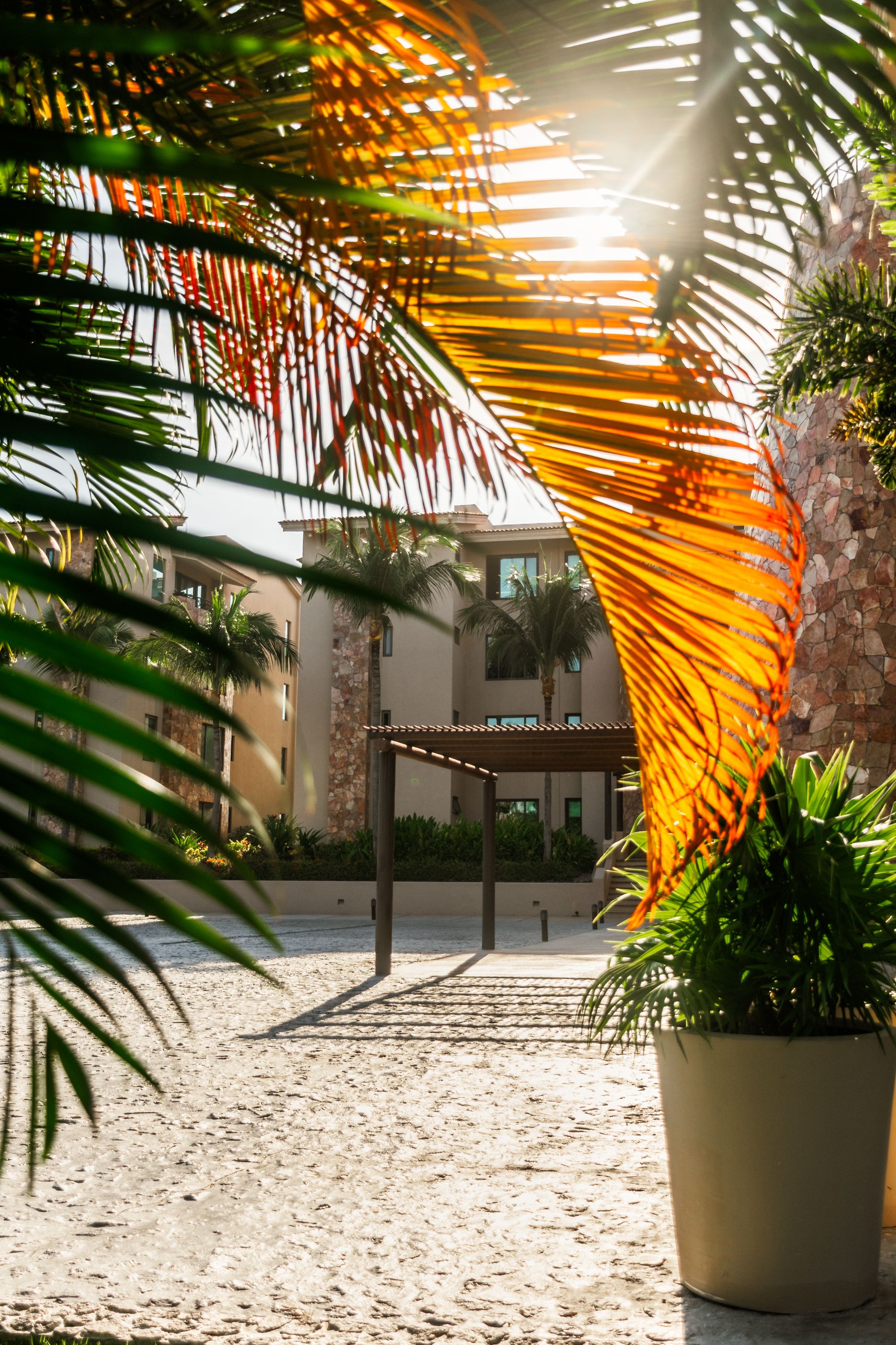 801 Hacienda