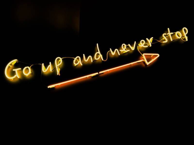 Intrinsische Motivation